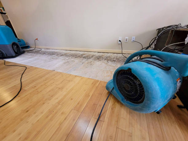 Reliable Basement Flood Cleanup contractor in Saint Louis, MO by Hirex Water Damage