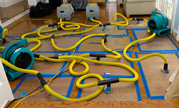 Professional Basement Flood Cleanup technician working in Saint Louis, MO